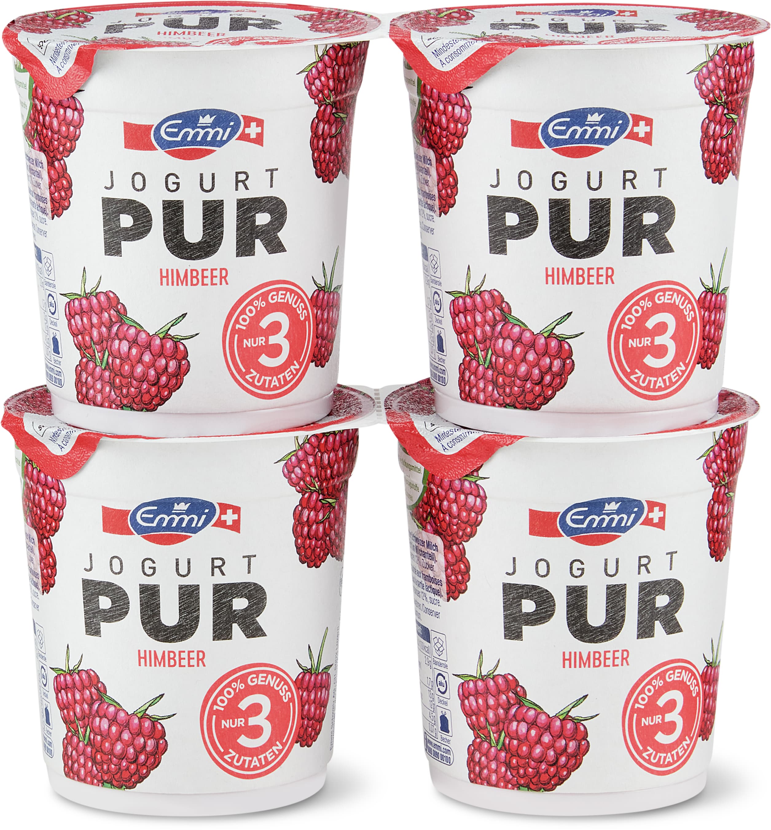 Yogurt Lamponi